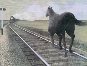 alexColville