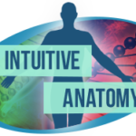 intutive-anatomy-teach